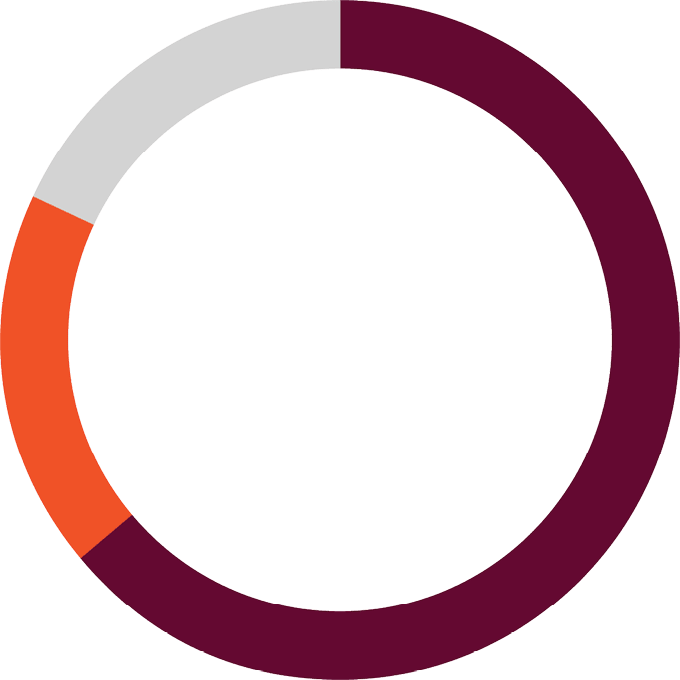 ring chart