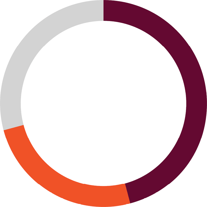 ring chart
