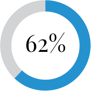 ring chart diplaying 62 percent